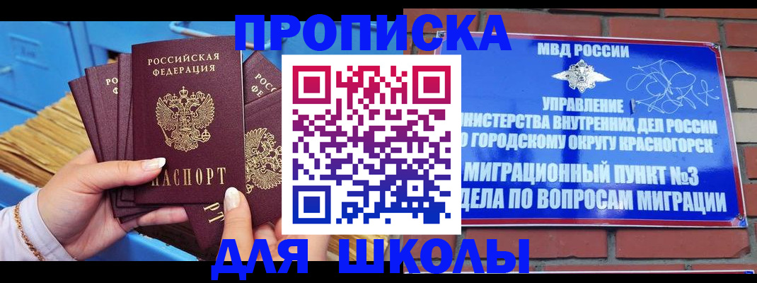 временная регистрация адрес в Опочке